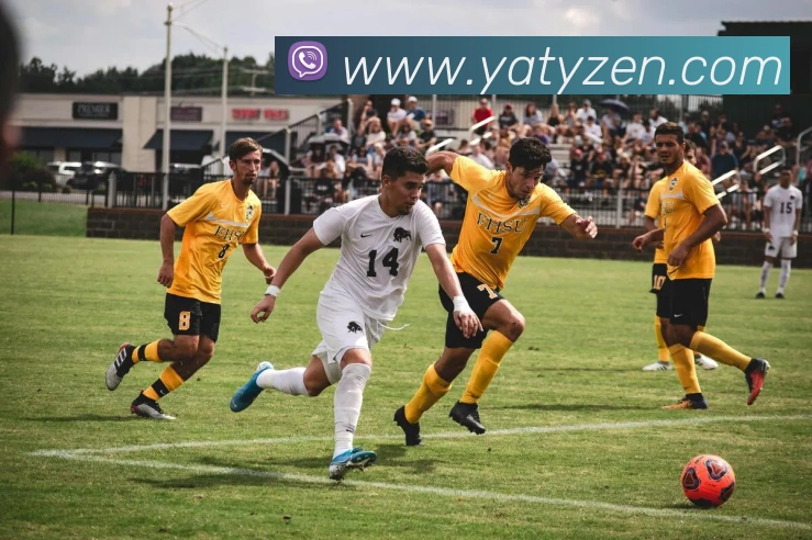 约罗与国米前锋博尼双双决定代表科特迪瓦国家队出战